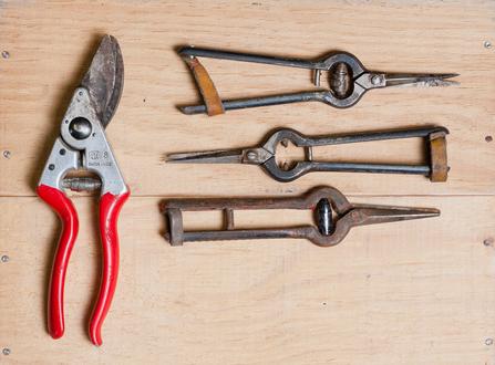 Winery Lukas Markowitsch - Göttlesbrunn, Austria