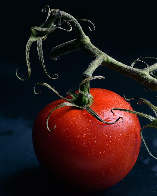 Tomato and Vine - Vienna, 2020